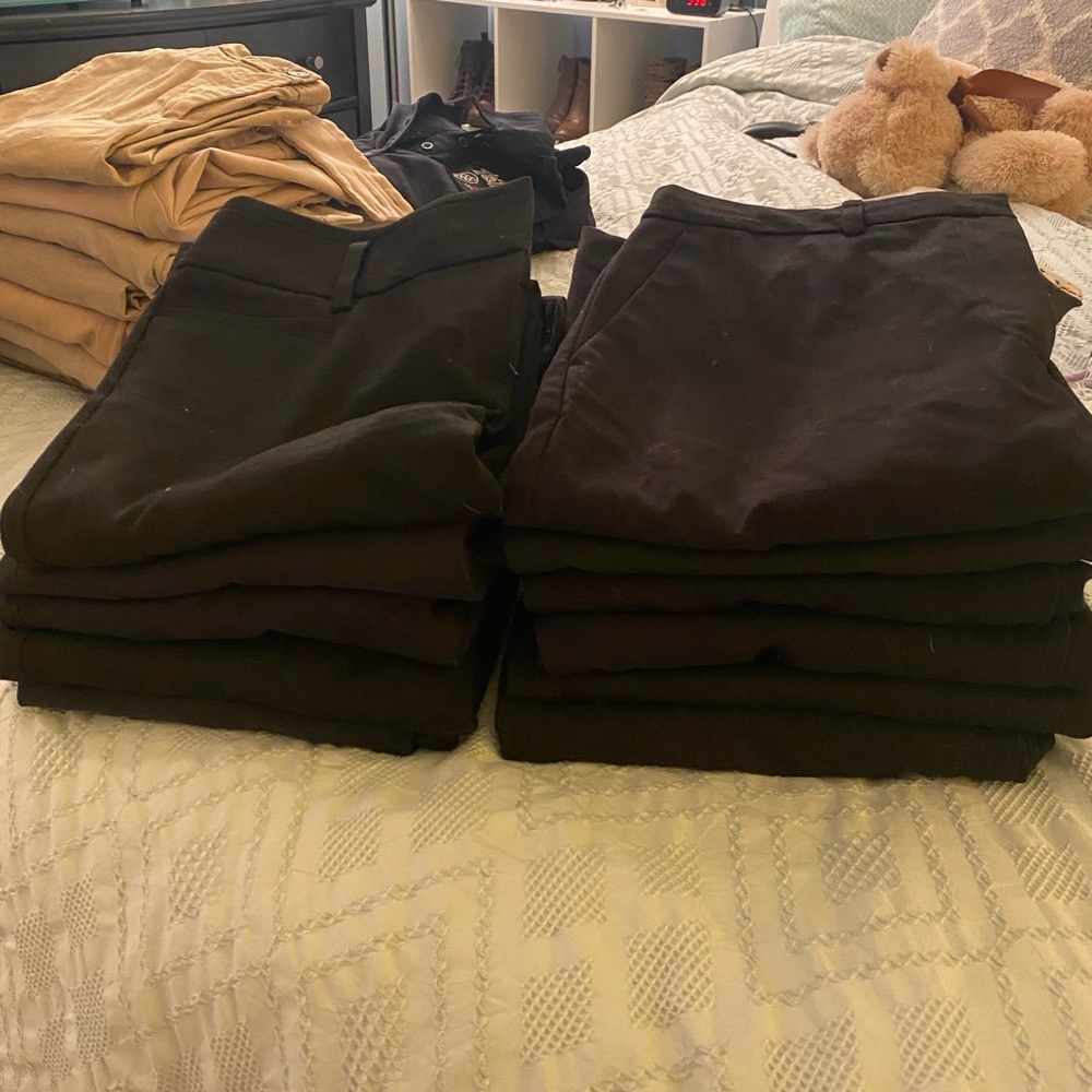 Black Dress Pant Lot